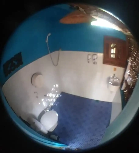 Economy Cottage