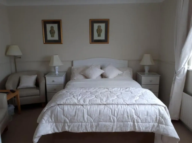 Deluxe Double Basement room with garden view