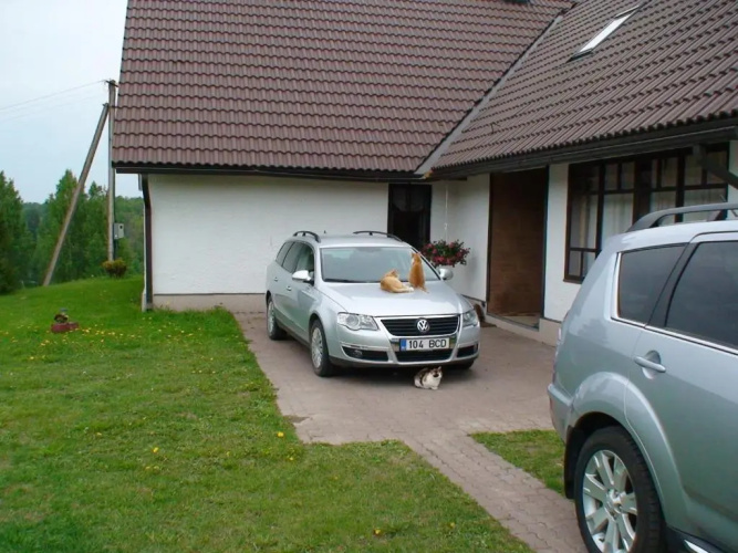 Mäe Farm