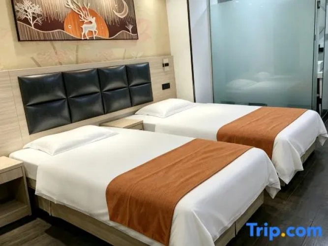 Comfort Twin room