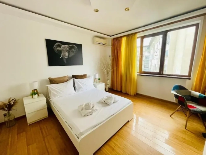 Comfort Studio with balcony and with city view