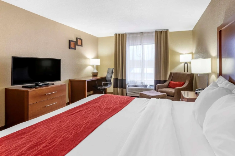 Standard Double room