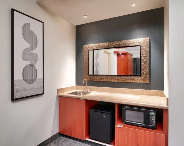 1 Bedroom Suite
