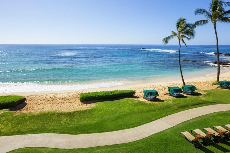 Deluxe Double room oceanfront