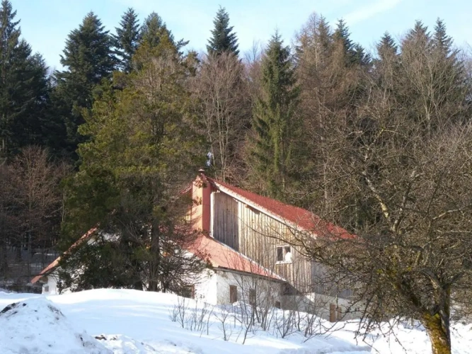 Cottage