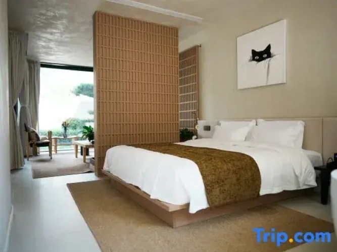 Standard Double room with mountain view