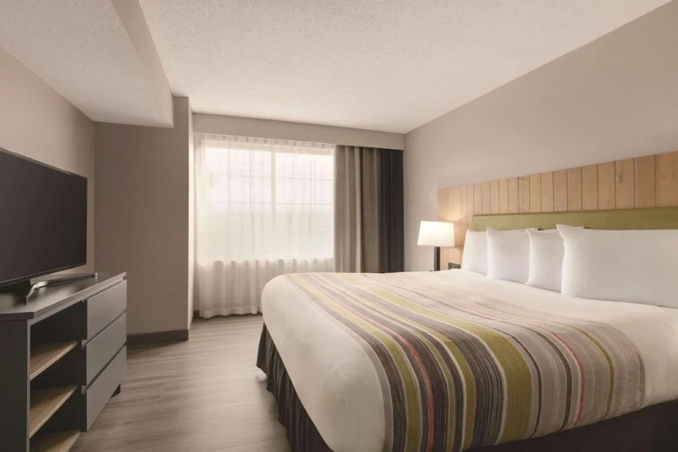 1 Bedroom Suite