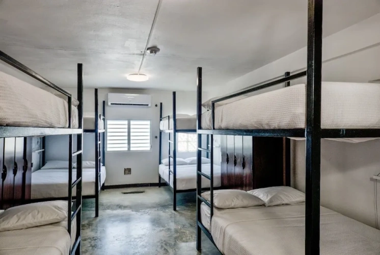 Bed in Dorm