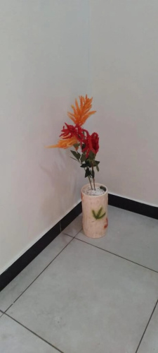Softlife Home+254720283485