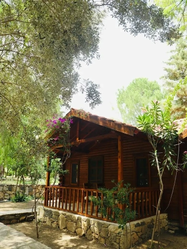 Family Suite with garden view
