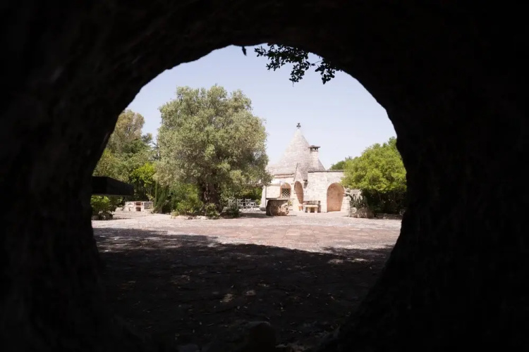 Trullo Bosco Selva Fasano by Typney