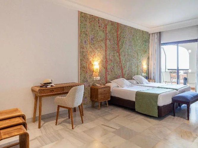 Superior Double room with balcony and with sea view