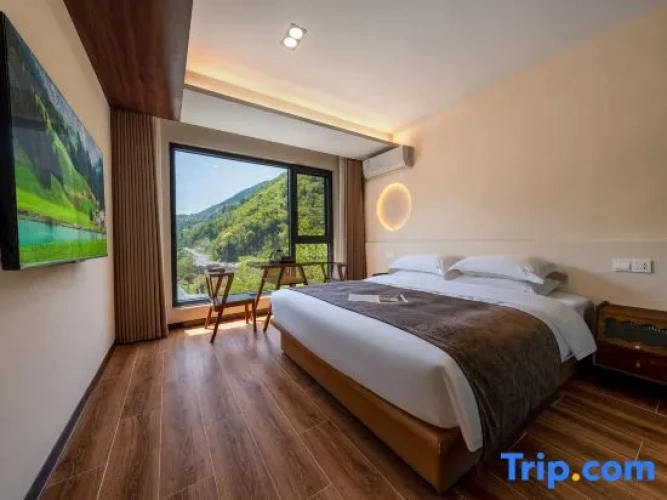 Standard Double room with mountain view
