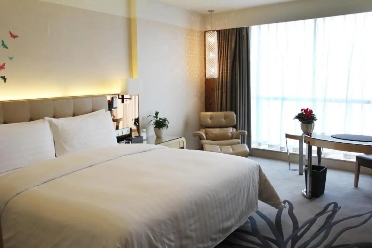 Superior Double room with river view