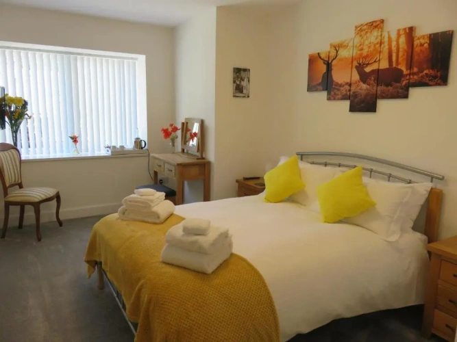 Deluxe Double room