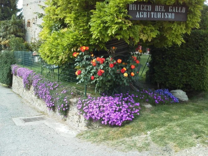 Bricco Del Gallo