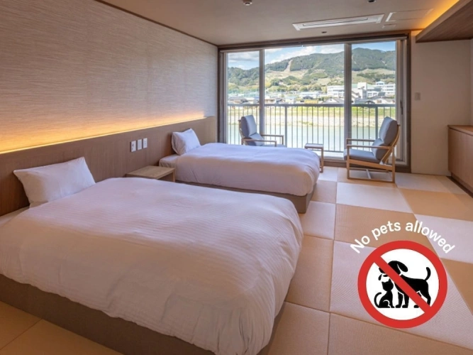 Standard Double room with river view