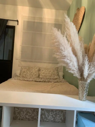 Studio Muret Atypique (Adults Only)