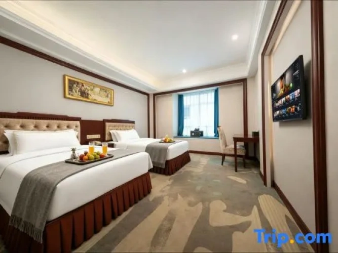 Standard Twin room with city view