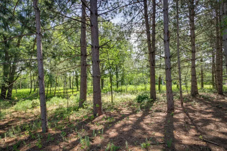 Wadena Vacation Rental ~ 1 Mi to Downtown!