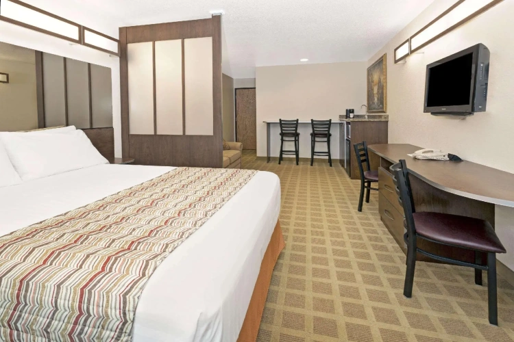 Double Studio Suite