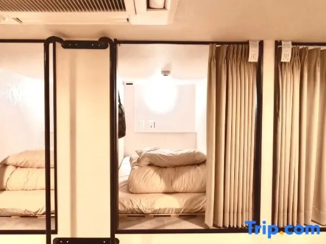 Economy Capsule