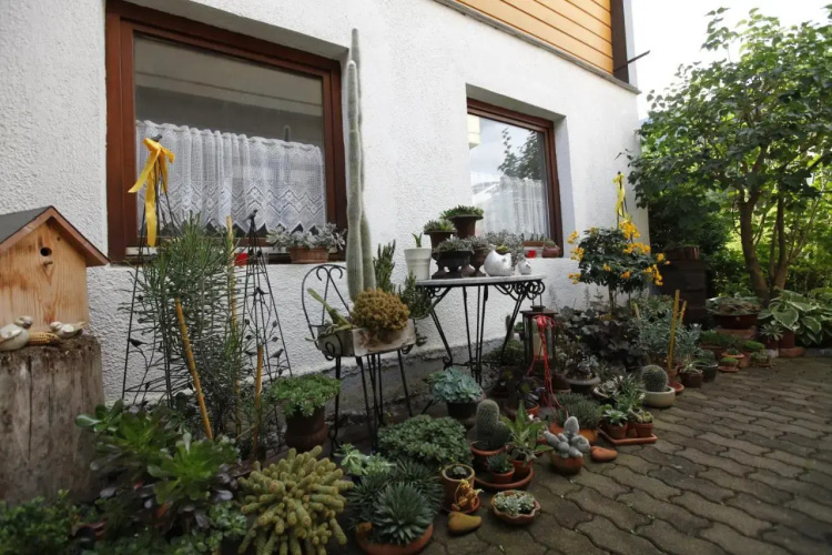 Dorf Café
