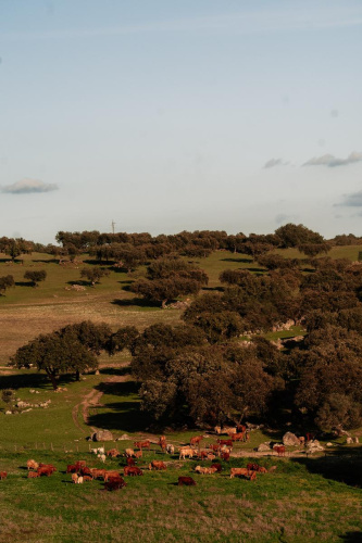 Herdade dos Moreiros