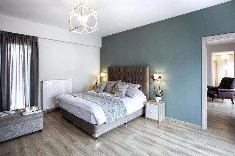 Luxury Apartment