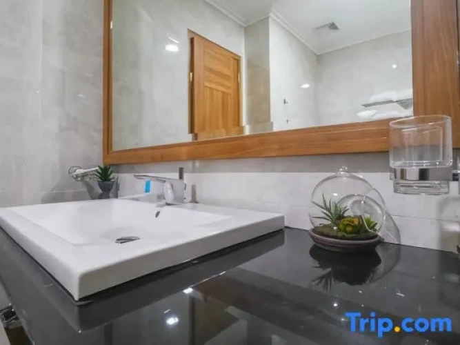 Deluxe Double room with city view