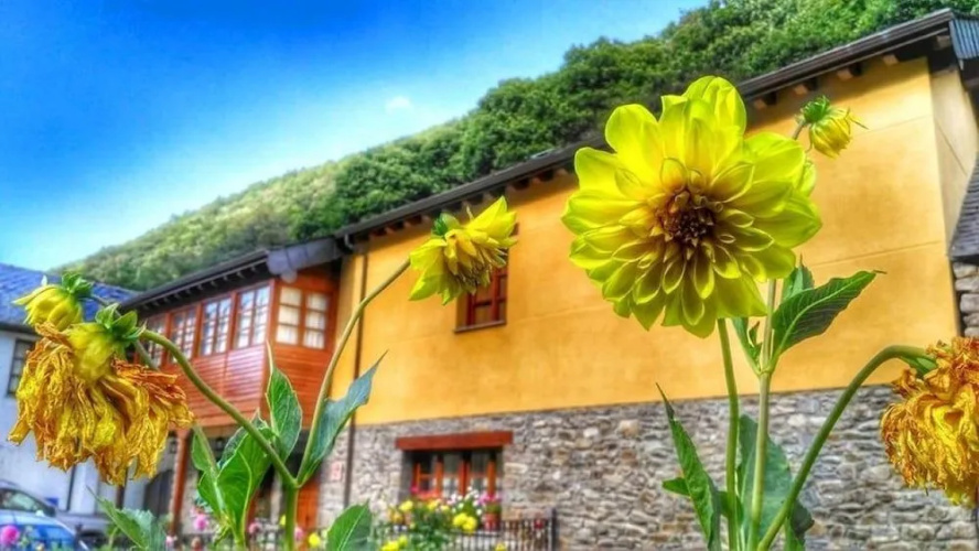 Casa Buela