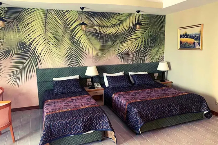 Standard room with land view