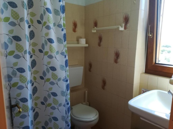 Economy Twin room