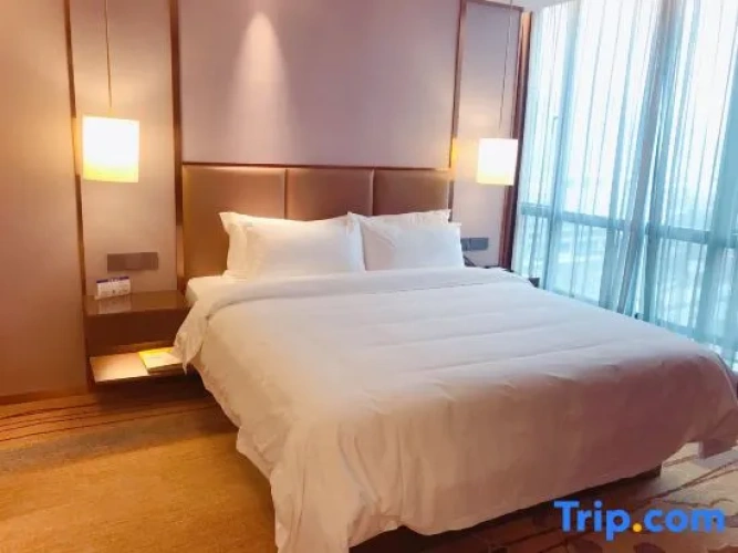 Comfort Suite