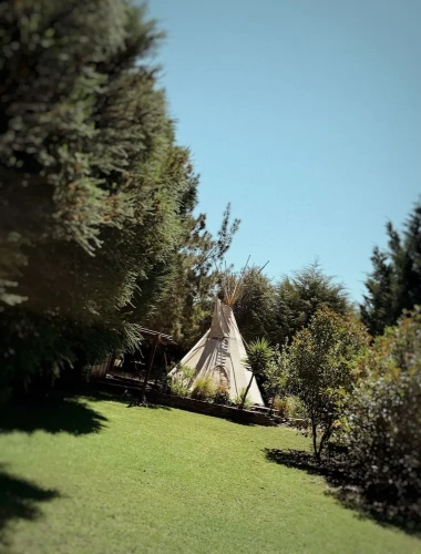 Tent with garden view