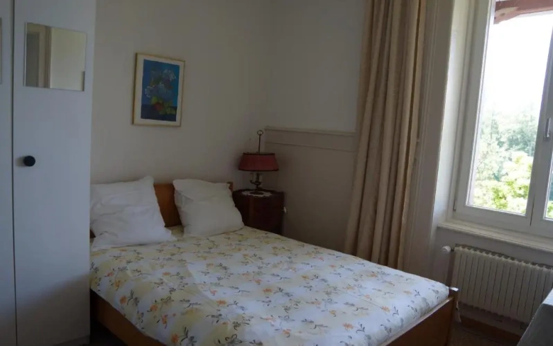 Economy Double room with lake view