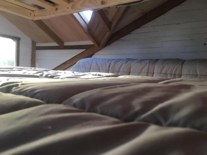 Bed in Dorm