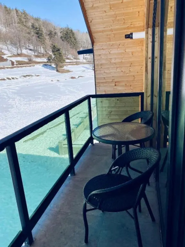 Snow Forest Bakuriani Apartment 18