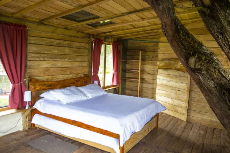 Monte Verde Cabañas & Camping