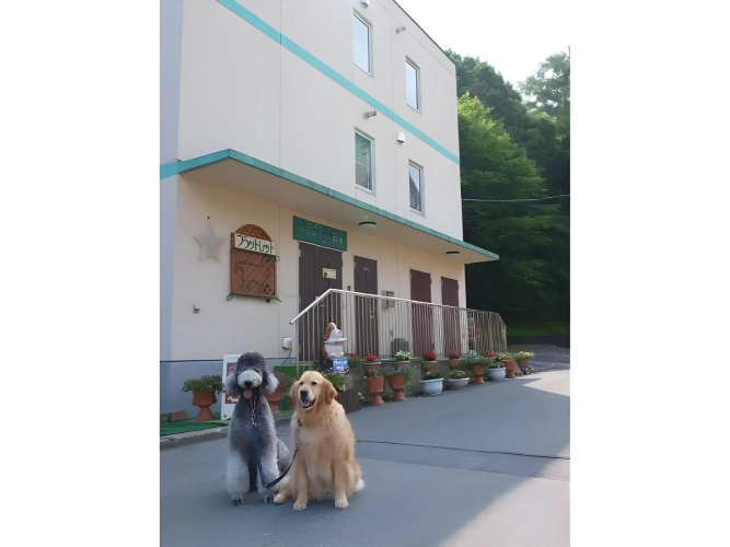Image de l'hôtel