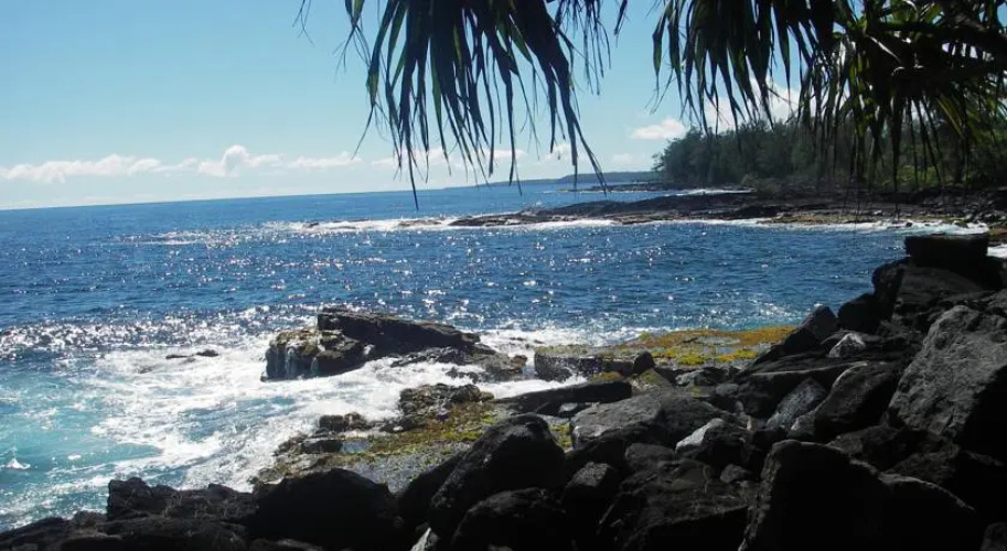 Sandra's Vacation Retreat