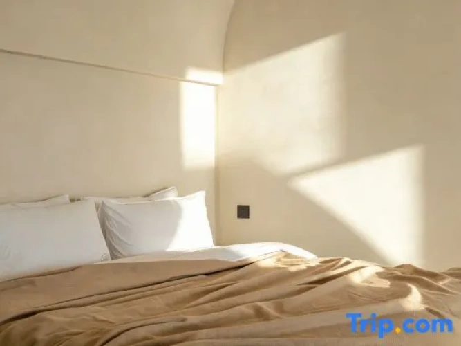 Standard Double room with sea view