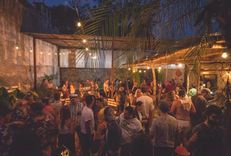 The Doozy Koala Hostel