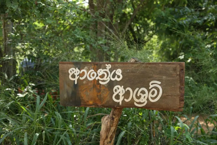 Athreya Ayurveda Ashram