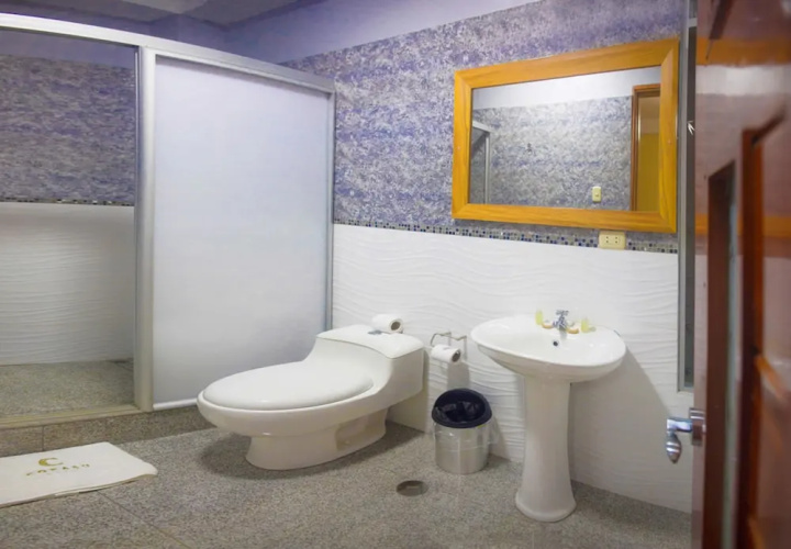 Copasu Hotel