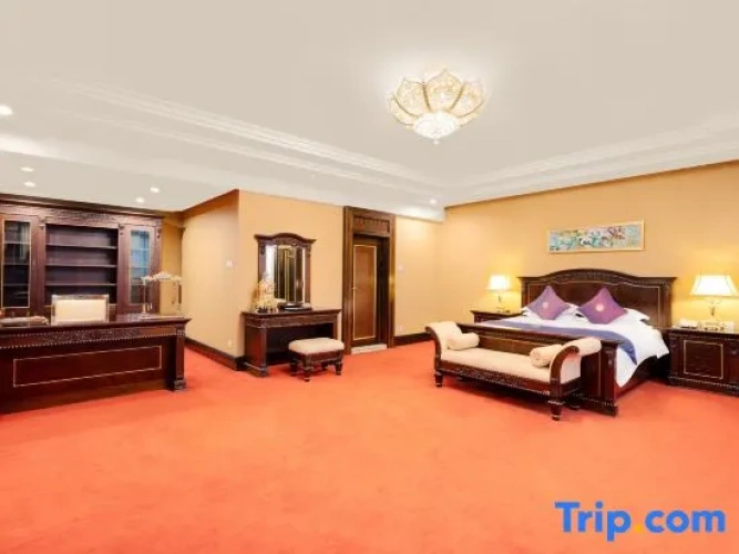 Comfort Suite