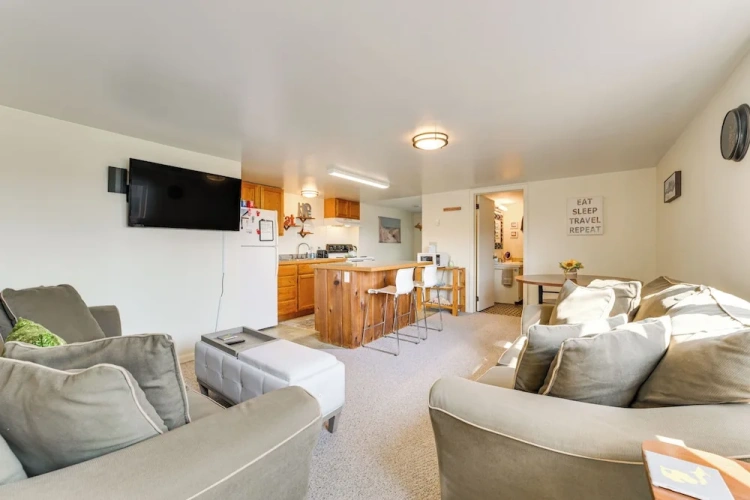 1 Bedroom Apartment