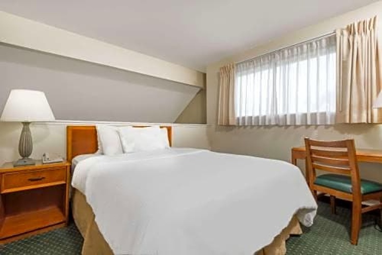 2 Bedrooms Suite