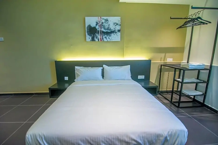 Deluxe Double room with city view