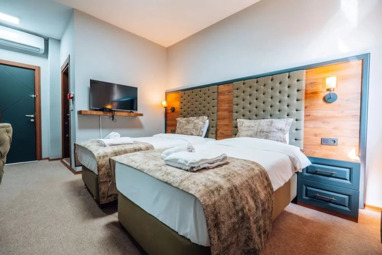 Standard Twin room with mountain view